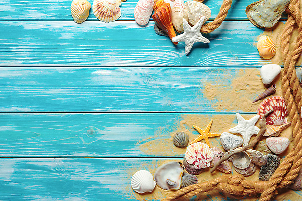 포토 JPG 해외이미지 밧줄 모래 불가사리 사람없음 파란색 조개껍데기 카피스페이스 나무배경 해외202309 해외포토 줄 컬러 백그라운드 조개 극피동물 공백 파일형식