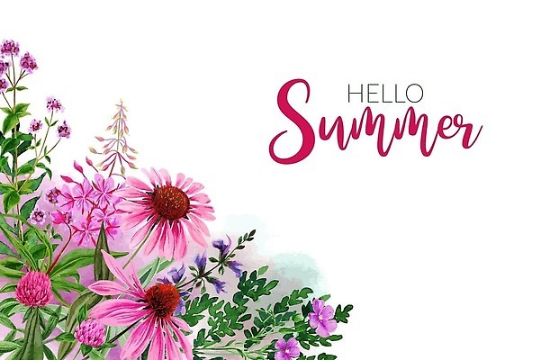 EPS 해외이미지 식물 디자인 꽃 분홍색 결혼 백그라운드 잎 꽃무늬 밭 일러스트 프레임 장식 컬러풀 정원 봄 수확 벚꽃 나뭇가지 인사 신용카드 그리기 모서리 클로버 숲 그림 초대 내추럴 고립 백리향 엘리먼트 해외202309 해외일러스트 나무 계절 컬러 무늬 농업 모션 이벤트 금융 예절 파일형식 벡터