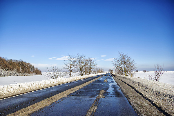 포토 JPG 해외이미지 나무 계절 공원 도로 길 여행 백그라운드 겨울 자연 하늘 날씨 휴가 거리 사람없음 야외 파란색 빛 햇빛 뷰티 환경 얼음 운전 젖음 추위 덮개 흰색 서리 장면 내추럴 방법 폭설 눈내림 카피스페이스 해외202309 해외포토 자연요소 식물 공공시설 컬러 교통시설 모션 눈_날씨 태양 공백 뚜껑 자연재해 생태계 파일형식