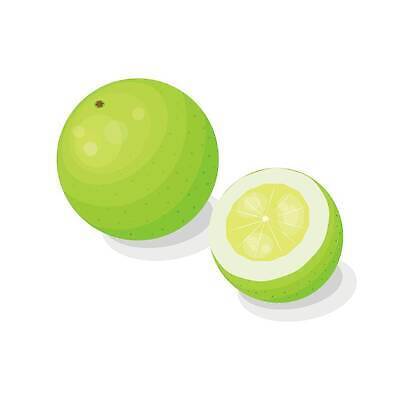 EPS 해외이미지 음식 줄기 조각 백그라운드 과일 일러스트 부분 귤 실내 건강 사탕 초록색 노란색 흰색 신선 달콤 만화 심볼 싱글 유기농 광택 잡종 고립 이국적 벡터 해외202309 해외일러스트 식물 웰빙 컬러 디저트 내부 맛 파일형식