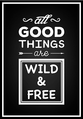 EPS 해외이미지 템플릿 디자인 배너 포스터 문장 백그라운드 컨셉 스티커 일러스트 텍스트 흑백 텐트 미술 타이포그라피 그래픽 장식 세트 유행 라벨 하이킹 수확 표현 메시지 클래식 모닥불 심볼 복고 비닐 타입 속담 엘리먼트 옛날 벡터 자극 해외202309 해외일러스트 문자 농업 재질 불 레저 문화예술 프레임 촬영기법 캠핑도구 파일형식