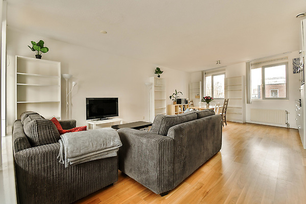 포토 JPG 해외이미지 화분 창문 책장 선반 사람없음 인테리어 소파 텔레비전 공간 방 담요 해외202309 해외포토 디자인 가구 의자 전자제품 파일형식