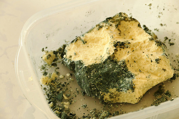 포토 JPG 해외이미지 조각 치즈 사람없음 주방 식사 아침식사 상품 날것 발견 곰팡이 구성 혜택 해외202309 해외포토 유제품 파일형식