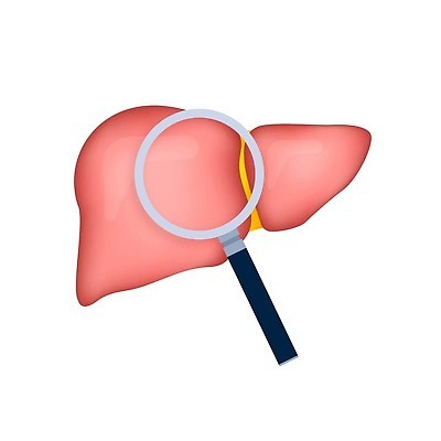 EPS 해외이미지 디자인 교육 과학 컨셉 신체 일러스트 해부 유리 돋보기 건강 병원 사람 내부 그래픽 치료 약 고통 시험 의사 오르간 바이러스 확대 질병 심볼 사인 검색 생물학 간 감염 암 고립 돌봄 증상 벡터 해외202309 해외일러스트 감정 의학 모션 재질 의료진 장기_의학 건반악기 파일형식