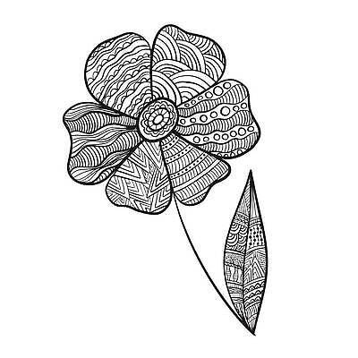 EPS 해외이미지 식물 손 디자인 꽃 선 컬러 나비 결혼 백그라운드 잎 꽃무늬 패턴 일러스트 자연 추상 흑백 미술 성인 그래픽 장식 책 여름 연필 유행 검은색 페인트 봄 흰색 아기 화려 낙서 인쇄 스케치 명상 만족 그림 윤곽 페이지 부족 벡터 해외202309 해외일러스트 계절 감정 곤충 컨셉 무늬 문화예술 학용품 촬영기법 사람 이벤트 신체부위 필기구 생태계 파일형식