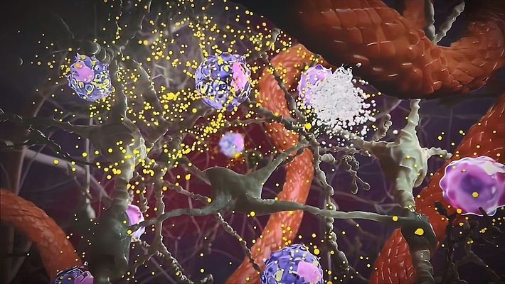 포토 JPG 해외이미지 감정 과학 백그라운드 이동 신체 해부 생물 세포 건강 사람 사람없음 빛 약 에너지 마음 네트워크 감각 맥박 불안 뇌 생물학 신호 만들기 전자 전염 시스템 전송 해외202309 해외포토 교육 컨셉 의학 모션 질병 감염 파일형식