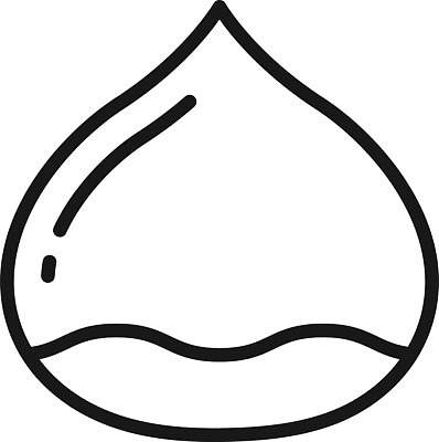 EPS 해외이미지 디자인 선 컨셉 일러스트 자연 견과류 밤 심볼 윤곽 고립 벡터 개암 해외202309 해외일러스트 열매 생태계 파일형식