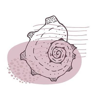 EPS 해외이미지 동물 손 실루엣 야생동물 선 모래 바다 스티커 일러스트 추상 휴가 조개 연체동물 흑백 나선형 그래픽 물 여름 수중 껍질 흰색 점 소라 낙서 스케치 해산물 오브젝트 사인 그림 질감 심플 윤곽 가리비 고립 앵무조개 엘리먼트 이국적 벡터 해외202309 해외일러스트 자연요소 계절 컬러 무늬 어패류 무척추동물 촬영기법 미술 신체부위 파일형식