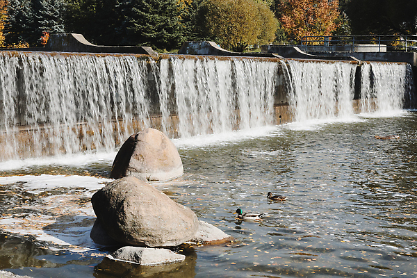 포토 JPG 해외이미지 나무 식물 계절 공원 호수 컬러 여행 백그라운드 잎 자연 표면 날씨 휴가 풍경 사람없음 야외 초록색 물 컬러풀 태양 뷰티 반사 평화 환경 맑음 가을 신선 상쾌 휴양지 질감 장면 10월 내추럴 그리너리 해외202309 해외포토 자연요소 공공시설 감정 컨셉 장소 날짜 생태계 파일형식 트랜드컬러