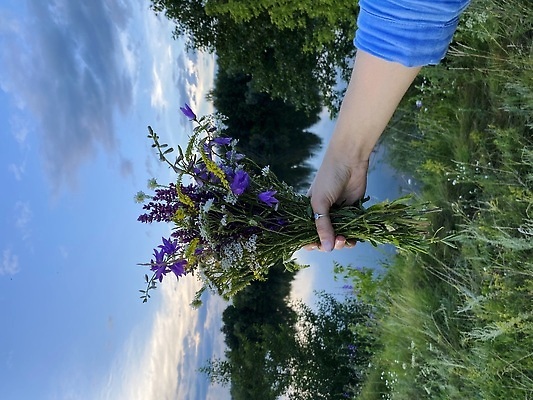 포토 JPG 해외이미지 식물 손 디자인 꽃잎 꽃 호수 꽃다발 결혼 백그라운드 잎 꽃무늬 패턴 밭 자연 하늘 휴가 선물 사랑 사람 사람없음 장식 초록색 여름 컬러풀 뷰티 정원 봄 낭만 벚꽃 시골 신선 숲 다발 데이지 내추럴 블루벨 해외202309 해외포토 계절 감정 컬러 컨셉 무늬 농업 이벤트 신체부위 생태계 파일형식