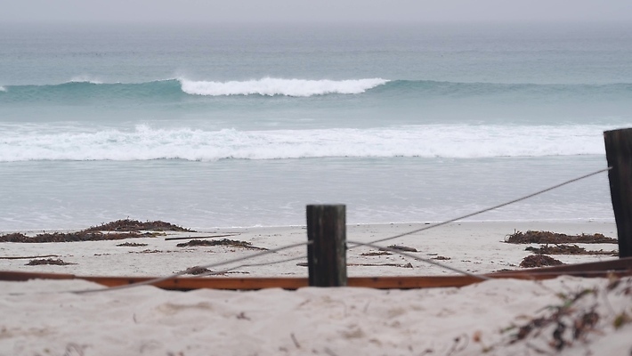 포토 JPG 해외이미지 모래 파도 바다 겨울 자국 자연 날씨 사람없음 물 미국 침묵 회색 추위 안개 가을 서핑 분위기 큼 모래언덕 캘리포니아 태평양 흐림 뿌연 해외202309 해외포토 자연요소 계절 컬러 컨셉 북아메리카 소리 수상스포츠 크기 언덕 생태계 파일형식