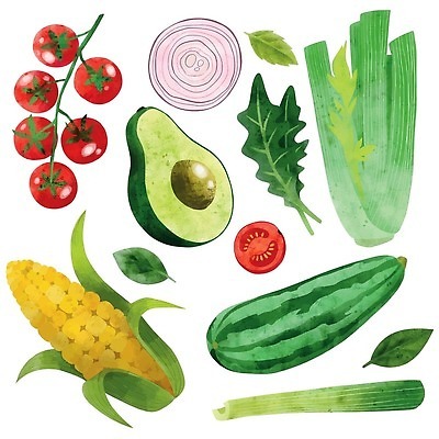 EPS 해외이미지 조각 잎 토마토 일러스트 방울토마토 단면 옥수수 사람없음 유기농 손그림 샐러리 아보카도 적양파 비건 해외202309 해외일러스트 식물 웰빙 채소 과일 양파 곡류 채식주의자 파일형식 벡터