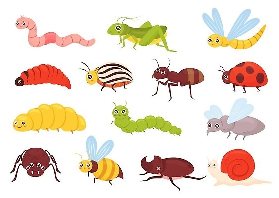 EPS 해외이미지 동물 캐릭터 디자인 행복 어린이 곤충 일러스트 자연 동화 여름 세트 컬러풀 정원 봄 아기 플랫 벌레 잠자리 꿀벌 숲 만화 벌 수집 딱정벌레 그림 달팽이 심플 무당벌레 거미 공상 개미 메뚜기 고립 귀뚜라미 엘리먼트 벡터 해외202309 해외일러스트 일러캐릭터 계절 감정 컬러 연체동물 사람 벌_곤충 생태계 파일형식