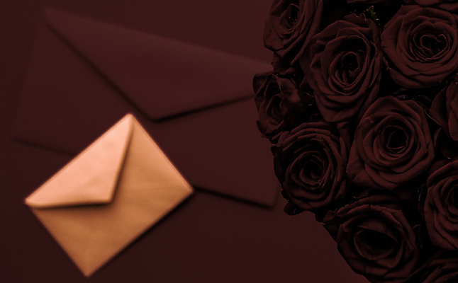 포토 JPG 해외이미지 꽃다발 백그라운드 편지봉투 발렌타인데이 사람없음 장미 어둠 러브레터 해외포토 꽃 데이이벤트 봉투 편지 파일형식