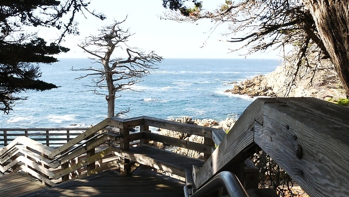 포토 JPG 해외이미지 나무 여행 자국 자연 휴가 사람없음 목재 여행객 계단 미국 트래킹 하이킹 운전 조약돌 소나무 황무지 고독 숲 캘리포니아 태평양 지역 침엽수 포인트 단계 루트 철책 사이프러스 해외202309 해외포토 식물 감정 바다 북아메리카 재료 모션 레저 사람 금융 돌_바위 생태계 파일형식