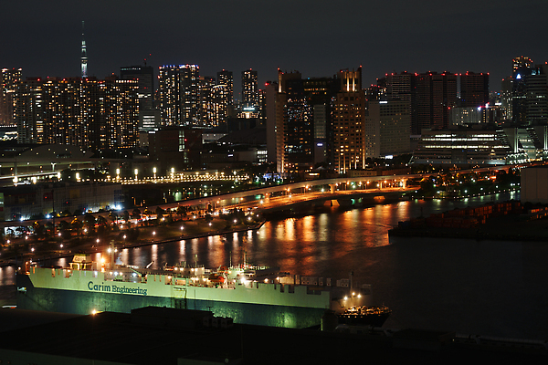 포토 JPG 해외이미지 겨울 비즈니스 조명 폭죽 동양인 풍경 사람없음 야외 건물 빛 도시풍경 일본 고층빌딩 도시 도쿄 야간 기관 해외202309 해외포토 자연요소 건축물 계절 아시아 인종 빌딩 파일형식
