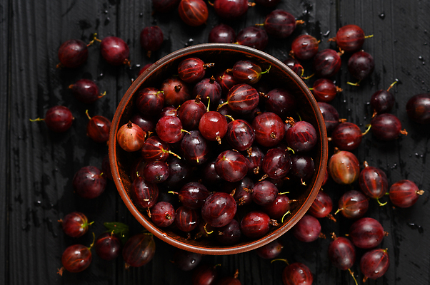 포토 JPG 해외이미지 계절 열매 음식 백그라운드 농업 다이어트 과일 재료 자연 디저트 건강 사람없음 목재 가로 빨간색 초록색 보라색 검은색 어둠 수확 시골 신선 그룹 시장 달콤 큼 먹기 고립 구스베리 밭일 숙성 채식주의자 많음 카피스페이스 비건 해외202309 해외포토 나무 식물 산업 컬러 컨셉 모션 공백 맛 크기 생태계 채식 파일형식