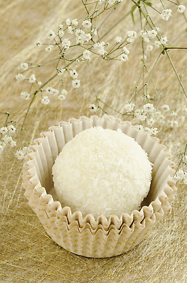 포토 JPG 해외이미지 접시 꽃 음식 백그라운드 크리스마스 휴가 디저트 발렌타인데이 사탕 사랑 사람없음 장식 세로 파티 초콜릿 빵집 우유 견과류 흰색 원형 그룹 고급 우아함 달콤 맛 큼 설탕 먹기 오브젝트 코코넛 칼로리 코코아 고립 해로움 핸드메이드 프랄린 맛있는 해외202309 해외포토 도형 식물 식기 기념일 감정 음료 컬러 컨셉 과일 모션 데이이벤트 유제품 이벤트 상점 크기 파일형식