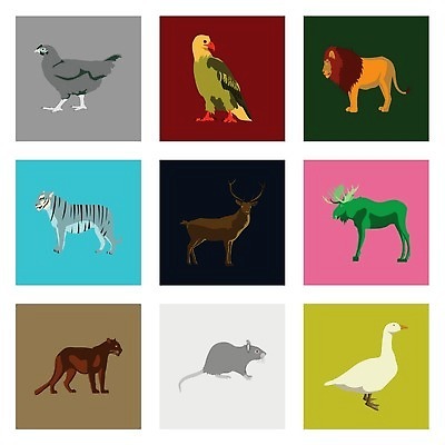 EPS 해외이미지 동물 날개 일러스트 자연 조류 사슴 세트 고양이 치킨 호랑이 플랫 쥐 숲 사자 수집 독수리 육식동물 거위 표범 국회 동물상 엘크 테마 스타일 해외202309 해외일러스트 포유류 반려동물 조형물 설치류 생태계 닭고기요리 파일형식 벡터