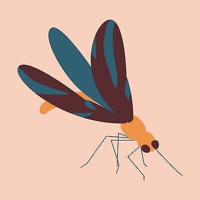 EPS 해외이미지 클립아트 모양 동물 디자인 실루엣 야생동물 선 컬러 나비 곤충 백그라운드 곡선 일러스트 자연 추상 미술 그래픽 장식 컬러풀 뷰티 봄 수확 용 플랫 벌레 잠자리 스케치 자르기 딱정벌레 심볼 오브젝트 생물학 심플 윤곽 내추럴 고립 동물상 생태학 벡터 해외202309 해외일러스트 계절 교육 무늬 농업 모션 문화예술 촬영기법 조형물 생태계 파일형식