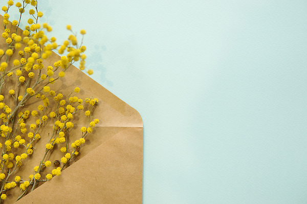 포토 JPG 해외이미지 디자인 계절 여자 꽃 행복 백그라운드 꽃무늬 자연 엄마 아침 휴가 봉투 발렌타인데이 사람없음 장식 초록색 뷰티 노란색 정원 봄 낭만 나뭇가지 축하 8 4월 내추럴 구성 플랫레이 카피스페이스 어머니의날 해외202309 해외포토 주간 나무 식물 기념일 감정 컬러 컨셉 무늬 가족 데이이벤트 사람 숫자 공백 날짜 플랫 생태계 미국문화 파일형식