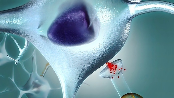 포토 JPG 해외이미지 과학 생각 해부 전등 아이디어 세포 건강 사람없음 신체부위 파란색 약 머리 건강관리 디지털 네트워크 투명 바이러스 DNA 집중 뇌 생물학 원자 복잡 지능 브레인스토밍 정확 해외202309 해외포토 교육 컬러 컨셉 의학 조명 관리 사람 생명공학 파일형식