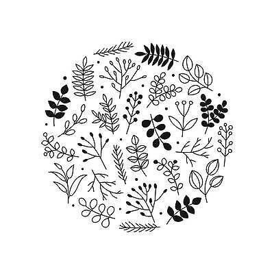 EPS 해외이미지 식물 손 디자인 열매 실루엣 포스터 백그라운드 잎 꽃무늬 일러스트 자연 잉크 그래픽 여름 정원 검은색 봄 수확 가을 흰색 나뭇가지 시골 원형 신용카드 낙서 숲 허브 그림 심플 윤곽 내추럴 고립 구성 엘리먼트 벡터 해외202309 해외일러스트 도형 나무 계절 꽃 컬러 무늬 농업 촬영기법 신체부위 금융 생태계 파일형식