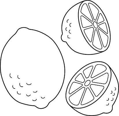 EPS 해외이미지 디자인 실루엣 어린이 선 음식 컬러 다이어트 과일 일러스트 재료 귤 건강 그래픽 여름 신선 달콤 레몬 그림 유기농 슬라이스 윤곽 손그림 페이지 비타민 걸음마 고립 색칠공부 채식주의자 벡터 맛있는 해외202309 해외일러스트 웰빙 계절 모션 촬영기법 사람 학습 색칠 맛 채식 영양소 파일형식