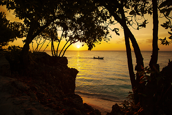 포토 JPG 해외이미지 나무 실루엣 호수 바다 여행 백그라운드 오렌지 자연 하늘 사람없음 야외 물 파란색 빛 컬러풀 햇빛 태양 뷰티 반사 노란색 일출 황혼 일몰 저녁 수평선 해외202309 해외포토 자연요소 식물 컬러 과일 촬영기법 노을 야간 생태계 파일형식