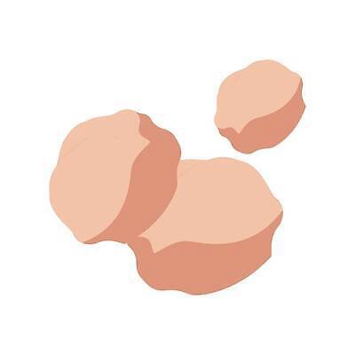 EPS 해외이미지 디자인 음식 백그라운드 다이어트 일러스트 재료 자연 건조 건강 씨앗 세트 갈색 견과류 흰색 소나무 그룹 플랫 정상 혼합 수집 유기농 날것 땅콩 호두 위치 아몬드 모음 브라질 내추럴 개암나무 고립 단백질 섞기 채식주의자 캐슈넛 피스타치오 피칸 벡터 개암 비건 해외202309 해외일러스트 나무 식물 웰빙 열매 컬러 남아메리카 생태계 채식 영양소 파일형식 아메리카 대륙