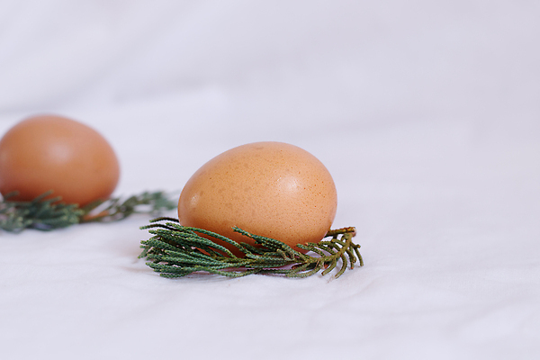 포토 JPG 해외이미지 템플릿 전통 디자인 계절 종이 분홍색 백그라운드 컨셉 패턴 휴가 프레임 창조 선물 사람없음 갈색 축제 봄 공백 흰색 축하 신선 닫기 둥지 4월 심볼 흰배경 유기농 부활절계란 날것 구성 정물화 스타일 플랫레이 카피스페이스 미니멀 해외202309 해외포토 웰빙 컬러 무늬 모션 부활절 계란 날짜 플랫 그림 파일형식