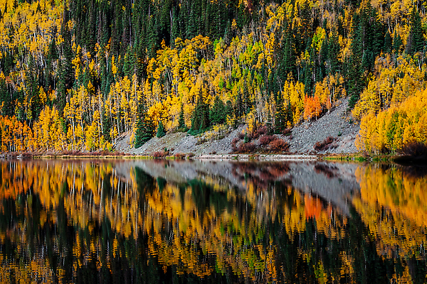 포토 JPG 해외이미지 나무 계절 도로 컬러 여행 백그라운드 잎 돈 자연 휴가 산 사람없음 야외 컬러풀 뷰티 반사 노란색 달러 미국 탐험 나뭇가지 고속도로 황무지 황금 고독 숲 멀리 탐사 콜로라도 해외202309 해외포토 식물 감정 길 북아메리카 교통시설 재산 생태계 파일형식