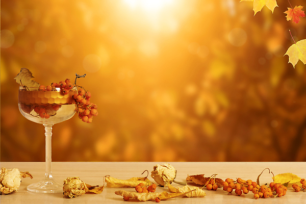 포토 JPG 해외이미지 나무 식물 디자인 배너 계절 백그라운드 단풍 잎 오렌지 자연 유리 탁자 프레임 건조 파노라마 사람없음 야외 목재 장식 빨간색 빛 햇빛 노란색 공백 가을 흰색 나뭇가지 그룹 변화 소프트포커스 9월 11월 보케 10월 내추럴 블러 엘리먼트 카피스페이스 국경 해외202309 해외포토 컬러 가구 컨셉 과일 재료 재질 촬영기법 태양 날짜 생태계 파일형식