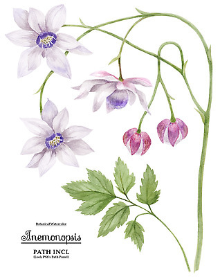 포토 JPG 해외이미지 식물 꽃 꽃무늬 일러스트 자연 사람없음 장식 해외202309 해외일러스트 무늬 생태계 파일형식