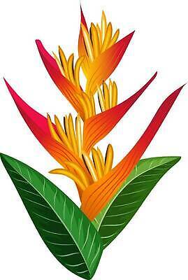 EPS 해외이미지 식물 계절 꽃 컬러 섬 여행 결혼 백그라운드 잎 꽃무늬 일러스트 자연 벽지 휴가 야외 장식 초록색 여름 컬러풀 뷰티 노란색 정원 스파 봄 성장 나뭇가지 신선 개화 숲 그림 내추럴 엘리먼트 이국적 파라다이스 해외202309 해외일러스트 나무 무늬 이벤트 생태계 파일형식 벡터