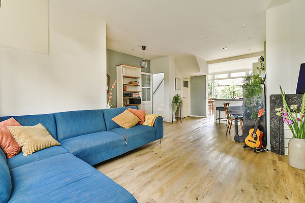 포토 JPG 해외이미지 식물 화분 쿠션 창문 책장 사람없음 파란색 인테리어 소파 문 공간 방 기타 해외202309 해외포토 디자인 컬러 가구 의자 현악기 파일형식