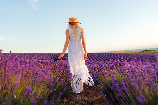 포토 JPG 해외이미지 전신 원피스 여자 꽃다발 꽃밭 한명 들기 성인 야외 뒷모습 금발 걷기 일몰 밀짚모자 라벤더 프로방스 성인여자한명만 흩날리기 해외202309 해외포토 모자_잡화 1 헤어스타일 옷 꽃 뷰포인트 모션 사람 노을 허브 여자한명만 성인여자만 파일형식