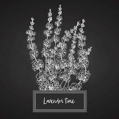 EPS 해외이미지 식물 디자인 꽃 선 꽃다발 백그라운드 잎 꽃무늬 일러스트 자연 건강 선물 장식 세트 라벨 검은색 칠판 어둠 화장품 프랑스 수확 흰색 신선 다발 수집 허브 향수 활 분필 손그림 향 테라피 라벤더 고립 엘리먼트 프로방스 벡터 해외202309 해외일러스트 유럽 컬러 무늬 농업 프레임 뷰티 초크 생태계 파일형식