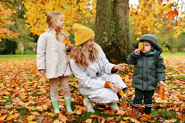 포토 JPG 해외이미지 나무 라이프스타일 공원 행복 아들 어린이 단풍 잎 2 가족 자연 놀이 엄마 웃음 소년 빨간색 세명 햇빛 노란색 맑음 활발 흰색 황금 숲 9월 니트 숨김 10월 캡모자 해외202309 해외포토 식물 모자_잡화 공공시설 남자 감정 컬러 컨셉 상의 관계 날씨 표정 사람 생활 태양 날짜 생태계 파일형식