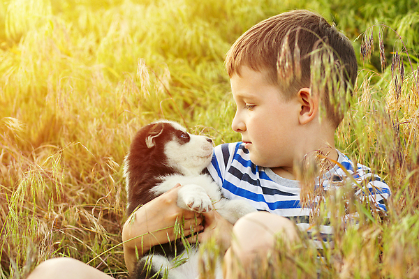 포토 JPG 해외이미지 동물 백인 손 공원 남자 행복 얼굴 어린이 포유류 포옹 놀이 사랑 한명 미소 사람 앉기 소년 잔디 야외 초록색 반려동물 태양 뷰티 유행 우정 흰색 표현 개 강아지 작음 주인 알래스카 송곳니 시베리아 순혈 해외202309 해외포토 자연요소 서양인 식물 1 공공시설 감정 컬러 안기 모션 표정 신체부위 친구 미국 치아 크기 파일형식