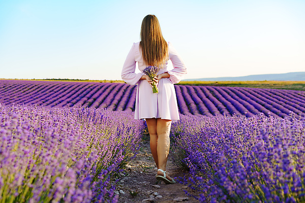 포토 JPG 해외이미지 전신 여자 꽃다발 꽃밭 한명 들기 성인 야외 뒷모습 걷기 일몰 라벤더 프로방스 성인여자한명만 해외202309 해외포토 1 꽃 뷰포인트 모션 사람 노을 허브 여자한명만 성인여자만 파일형식