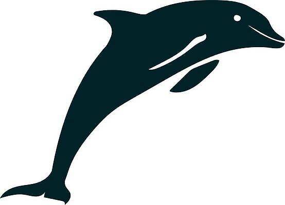 EPS 해외이미지 동물 디자인 실루엣 야생동물 바다 백그라운드 일러스트 포유류 자연 추상 휴가 어류 미술 그래픽 물 점프 검은색 수중 수영 흰색 떨어짐 인쇄 심볼 돌고래 사인 그림 배지 고립 지능 벡터 해외202309 해외일러스트 자연요소 컬러 컨셉 무늬 모션 문화예술 촬영기법 수중동물 수상스포츠 생태계 파일형식