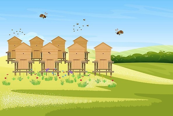 EPS 해외이미지 나무 식물 계절 꽃 산업 음식 곤충 백그라운드 밭 농업 일러스트 자연 건강 풍경 야외 목재 초록색 여름 농작물 농장 농경지 마을 환경 정원 수확 성장 시골 플랫 상품 만화 땅 벌 유기농 원예 장면 꿀 벌집 내추럴 양봉 양봉장 벡터 해외202309 해외일러스트 동물 웰빙 컬러 재료 취미 생태계 파일형식