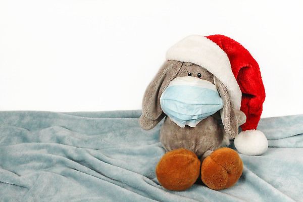 포토 JPG 해외이미지 전통 어린이 백그라운드 컨셉 크리스마스 겨울 텍스트 곰 휴가 병원 선물 가면 사람없음 장식 가로 빨간색 파란색 반려동물 장난감 산타클로스 갈색 우주 고통 흰색 축하 바이러스 개 호흡 보호 질병 감염 부드러움 솜털 당나귀 고립 돌봄 전염병 코로나바이러스 해외202309 해외포토 동물 계절 기념일 감정 컬러 포유류 의학 모션 사람 말_동물 감각 파일형식