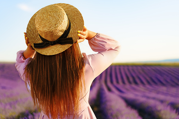 포토 JPG 해외이미지 여자 꽃밭 한명 상반신 성인 야외 뒷모습 일몰 잡기 밀짚모자 라벤더 프로방스 성인여자한명만 해외202309 해외포토 모자_잡화 1 꽃 뷰포인트 모션 사람 노을 허브 여자한명만 성인여자만 파일형식