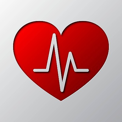 EPS 해외이미지 배너 종이 과학 일러스트 비즈니스 해부 건강 병원 미술 사람 그래픽 빨간색 약 의사 오르간 맥박 질병 구급차 자르기 심볼 돌봄 심장병 벡터 해외202309 해외일러스트 컬러 의학 모션 자동차 문화예술 의료진 건반악기 파일형식