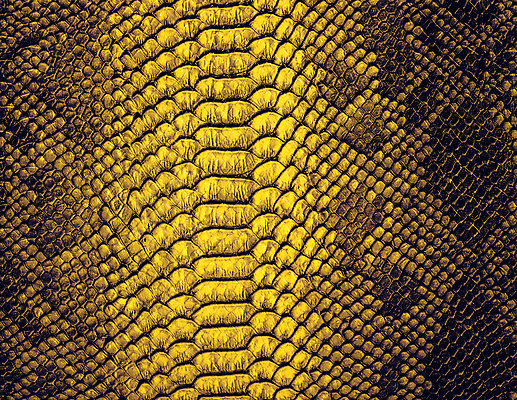 포토 JPG 해외이미지 동물 디자인 백그라운드 패턴 파충류 자연 벽지 표면 추상 프레임 미술 사람없음 장식 유행 어둠 직물 거친 뱀 황금 고급 보호 인쇄 가죽 피부 묘사 질감 눈금 도마뱀 육식동물 악어 숨김 내추럴 소가죽 이국적 인공 해외202309 해외포토 컨셉 무늬 문화예술 신체부위 생태계 파일형식