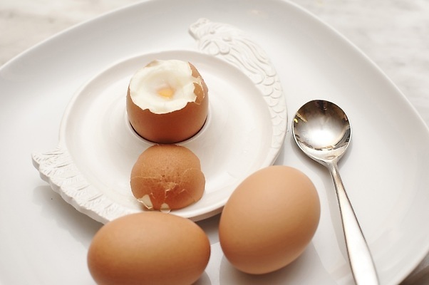 포토 JPG 해외이미지 음식 요리 사람없음 아침식사 단백질 삶기 해외202309 해외포토 식사 영양소 파일형식