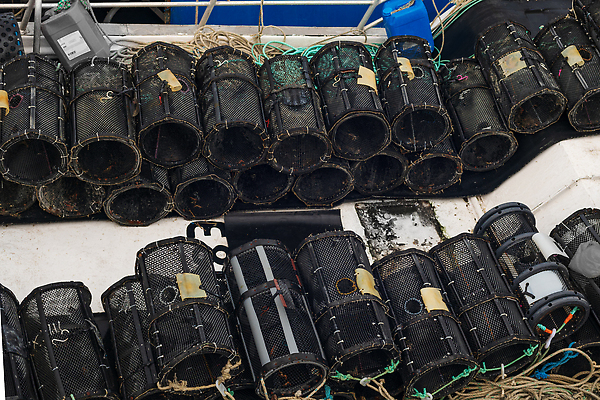 포토 JPG 해외이미지 식물 음식 여행 패턴 비즈니스 낚시 조개 어류 사람없음 목재 물 여름 상자 쌓기 바구니 여행객 상점 금속 항구 검은색 프랑스 게 껍질 굴 잡기 그물 냄비 가재 바닷가재 해산물 선원 포트 암 올가미 수유 줄서기 짠맛 스타일 많음 스코틀랜드 해외202309 해외포토 자연요소 나무 계절 유럽 컬러 컨셉 무늬 재료 교통시설 모션 재질 레저 어패류 영국 갑각류 사람 수중동물 맛 질병 솥 파일형식