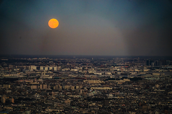 포토 JPG 해외이미지 사람없음 고층빌딩 가을 도쿄 9월 분화구 천문학 월 해외202309 해외포토 계절 교육 빌딩 일본 날짜 화산 파일형식